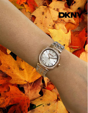 DKNY Ladies Watch